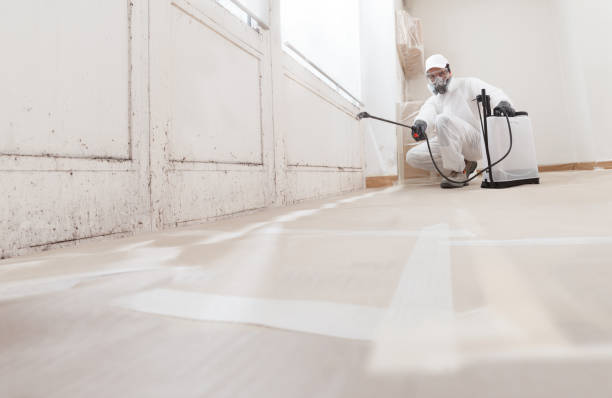 24/7 Emergency Mold Inspection experts in Springfield, VA